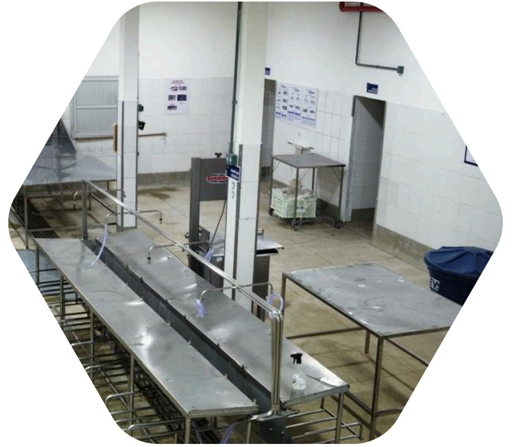 ft-estrutura3