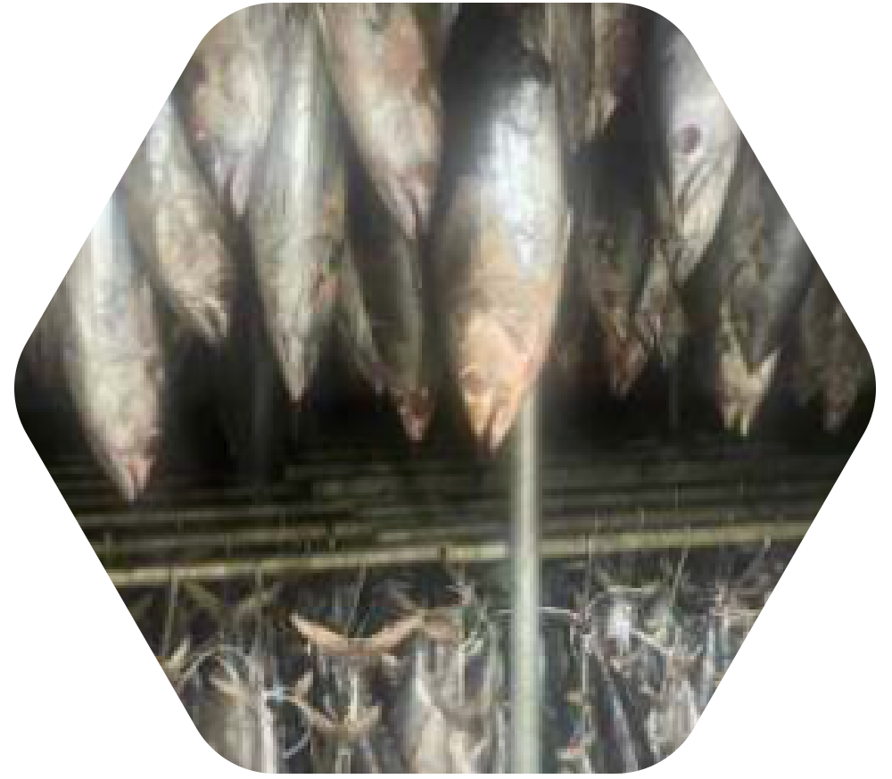 ft-estrutura5