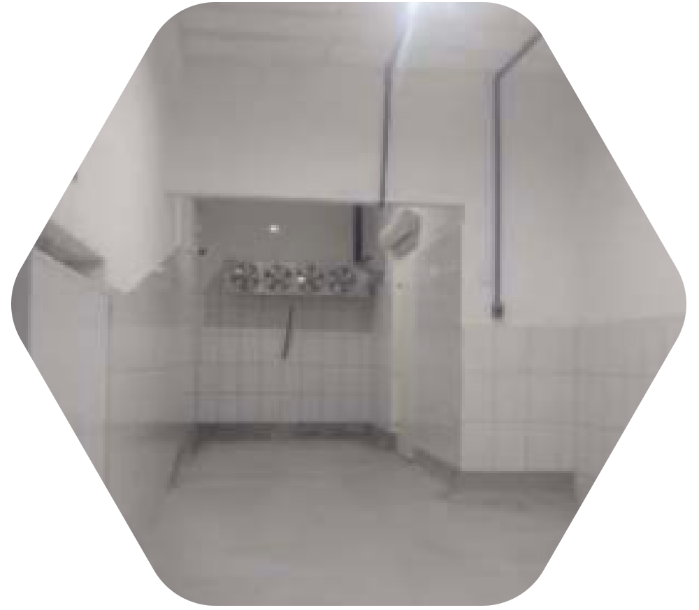 ft-estrutura7